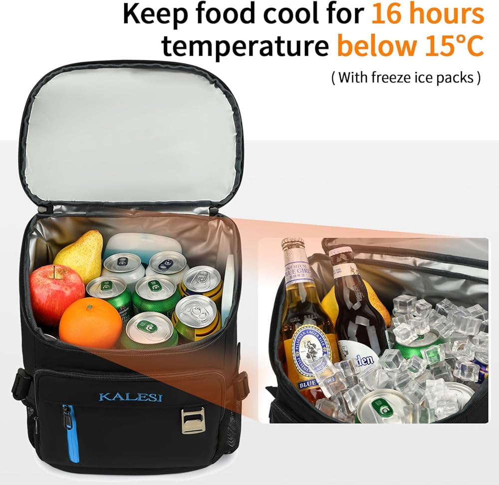 Kalesi 36-Can Insulated Cooler Backpack (Black)