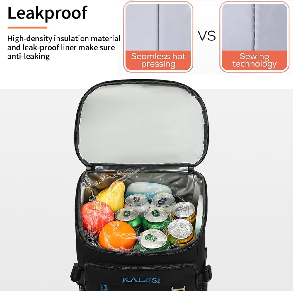 Kalesi 36-Can Insulated Cooler Backpack (Black)